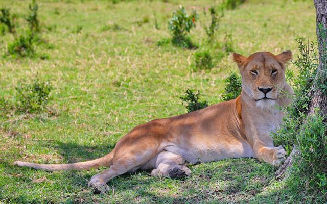 africa-e-oceano-indiano (35).jpg